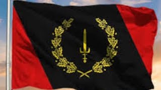 Black American Heritage Flag of 1967 #Flag #history #blackhistory #blackexcellence #learning #teach