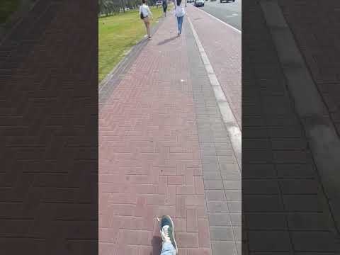 كروت إستغفر الله العظيم في الشارع كدة حد عارف الشارع ده فين