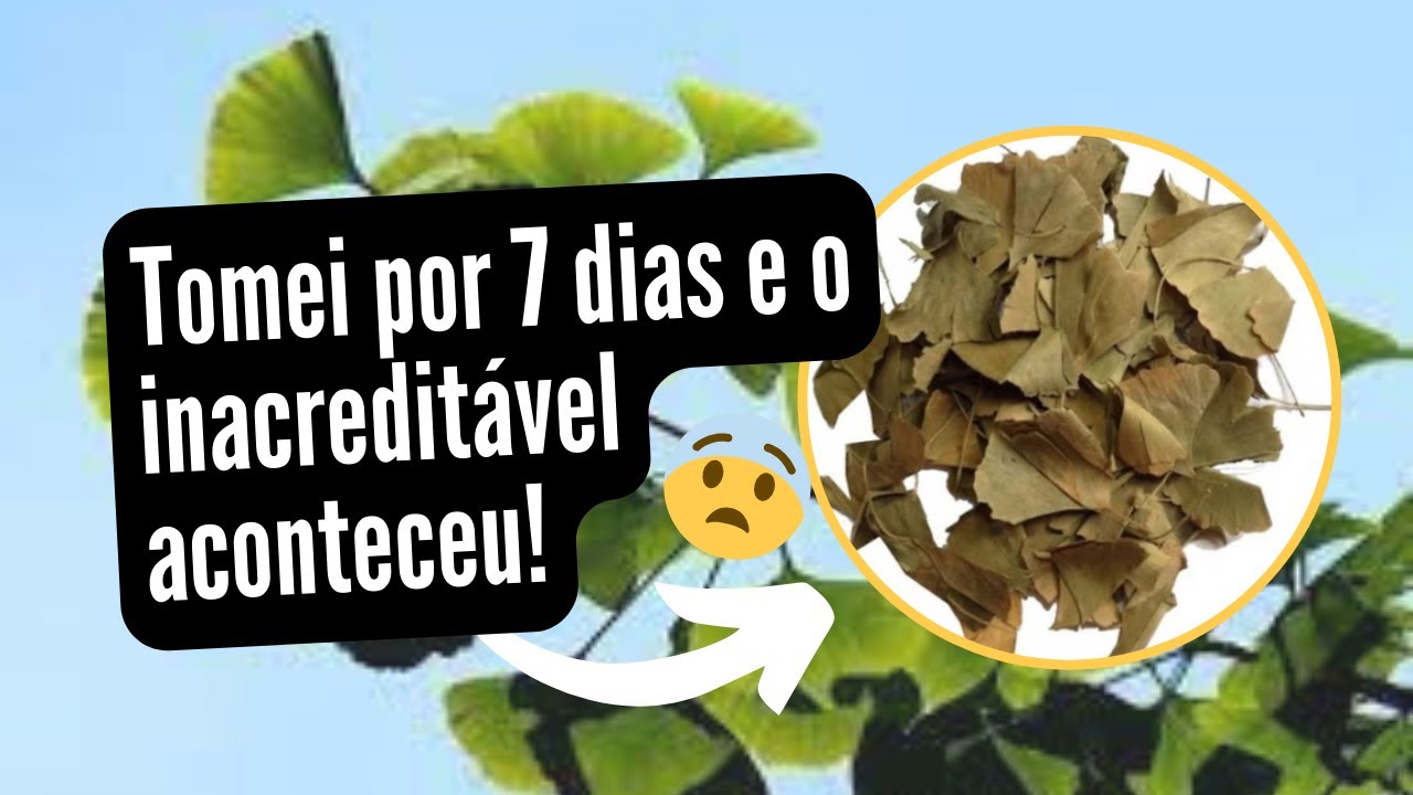Minha experiência com a Ginkgo Biloba: 7  dias tomando esse chá