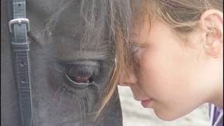 My horses best moments (rearing on command included)