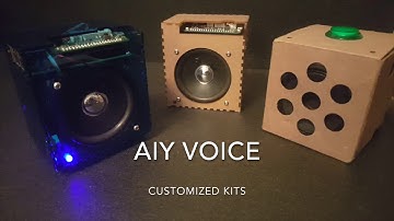 Custom AIY Voice Kit