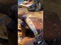 Snakehead Fish Cutting 😱 Insanely Satisfying Precision #shorts