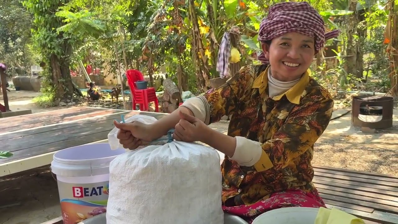 Harvesting more Derm Kon Tor Let from the fields today