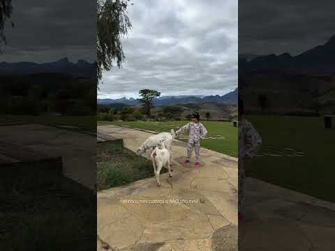 Bruno Gagliasso (@brunogagliasso) archived Instagram Stories compilation from July 19, 2026