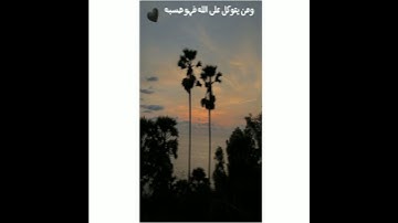 قرآن كريم بصوت القارئ الشيخ ماهر المعيقلي || حالات واتس اب || قرآن كريم ❤❤