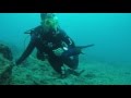 First independent scuba dive sunabe seawall in okinawa japan