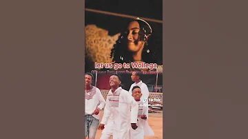 Adem Mohammed New Music 2025 Kololee Ademmuhammed Kololee Oromomusic Ethiopia 2025 Irechaa 
