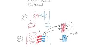 Calcium Channel Blockers as Anti-Hypertensives