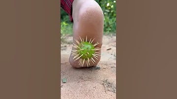 🌵🌵🌵🤣😭😭👟👟😍🥰Introductie van de "VitaWear SmartBand", een draagbare gadget van de volgende generatie🙏