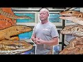 KEEPERS COLLECTIONS: Episode 3 - Ironbark Aussie Pets