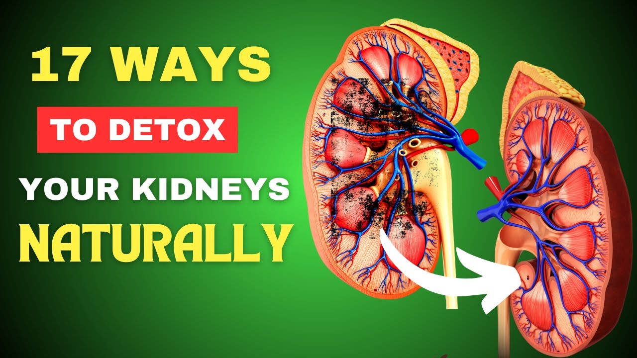 Detox Kidney Tips 17 Ways to CLEAN YOUR KIDNEYS and Prevent Kidney Disease YouTube