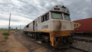 LDP006 & LDP004 walk Goobang Jnc East NSW.  Thu 13th Oct 2022