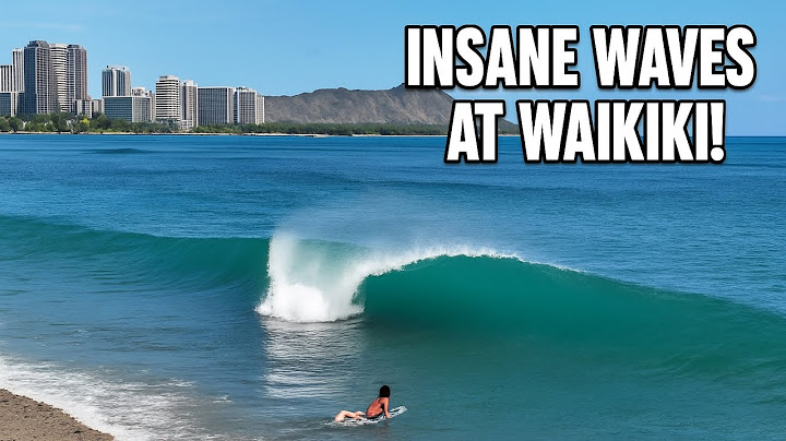 BEST WAIKIKI Surf Day of 2025 So Far? ( Surfing Oahu Hawaii )