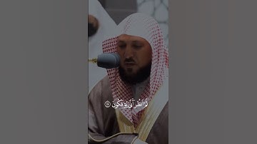 #ماهر_المعيقلي #قرآن قرا #تلاوة_خاشعة #قرآن #دعاء #اسلام_صبحي #سعد_الغامدي #عبدالرحمن_مسعد