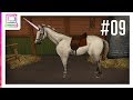 Horse world  my riding horse part 9 horse game