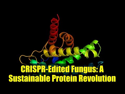 CRISPR-Edited Fungus: A Sustainable Protein Revolution
