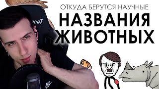 Откуда берутся научные названия животных | Реакция На Академия Сэма Онеллы