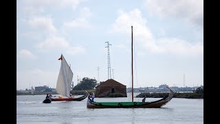 Grande Regata dos Moliceiros da Ria de Aveiro 2019 – VÍDEOFOTO (4)