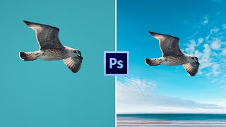 Master Image Cutouts In Photoshop Step By Step Guide