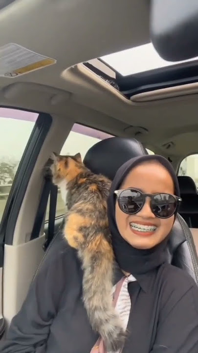 healing healing tai kucing #viral #foryou #lucu
