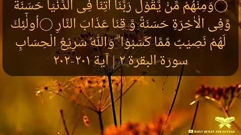 #daily_quran_and_sunnah, (Al-Baqarah 2 |  Verse 201-202), (سورة البقرة ٢ | آية ٢٠١-٢٠٢)