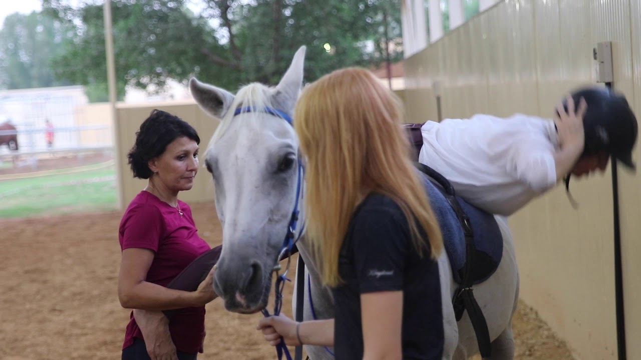 HORSE RIDING LESSON (Dubai) YouTube