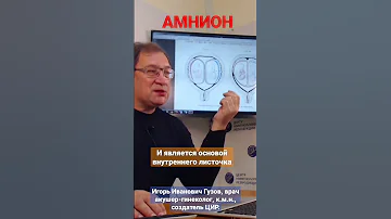 Амнион. Что такое амнион. Оболочки плода. #shorts Игорь Иванович Гузов про беременность