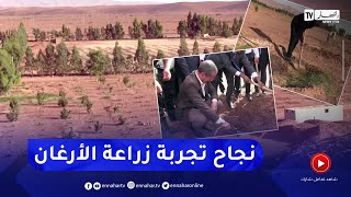 النعامة: نجاح تجارب زراعة شجرة الأرغان بمنطقة الغويبة ببلدية مغرار