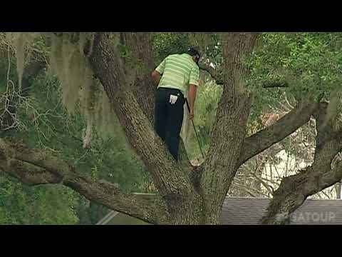 Sergio Garcia climbs a tree to hit one-handed second shot