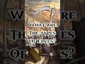 What are the types of elves?