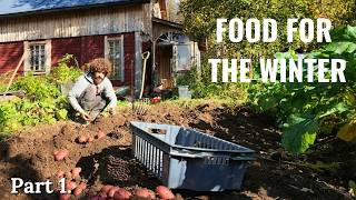 The Harvest Begins at Our Self-Sufficient Island Homestead