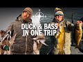 The Northern Push l Canada Ducks to Minnesota Smallmouths (WE went OFF)