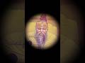 Kalash Yatra Balaji dham abohar|Today vlog|#ytshorts #sunilpaswan #shorts #vlog