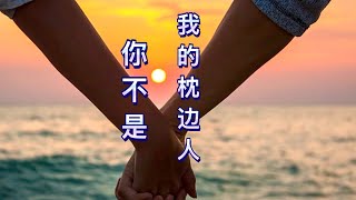 《你不是我的枕边人》 ｜ Chinese Song ｜ 音乐