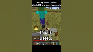 Minecraft, But Crouching Gives Random Items... #shorts