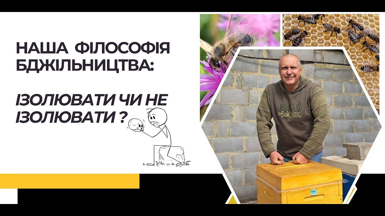 Чому я ізолюю маток.