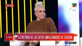 El Nuevo Look De Daniela Cardone Revolucionó Las Redes Sociales