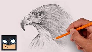 how draw falcon sketch saturday