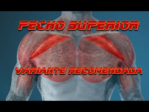 ejercicios para desarrollar el pectoral superior ejercicios para desarrollar el pectoral superior