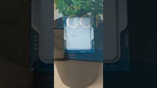 Budget Cpus Are Back Full Video On Yt.