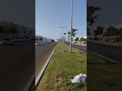 #dubai#travel#abu dhabi#trending #shorts