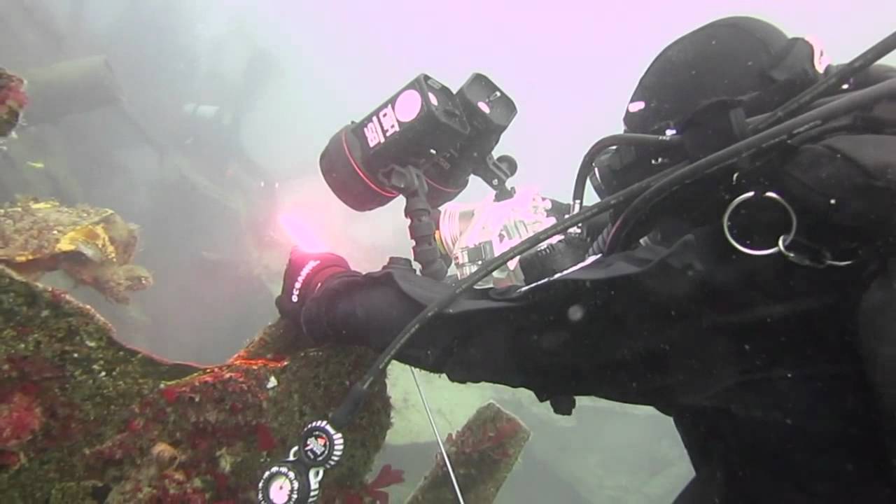scuba diving / canon s100 & wp dc43