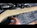 Ruger 10/22 Old Versus New Trigger. Which is better?