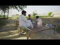 Village life in pakistan  zaida swabi the land of hospitality
