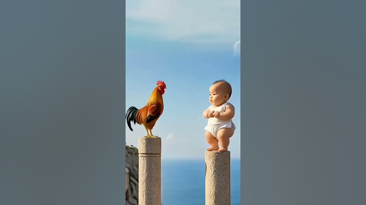 Funny videos are purely entertainment cute kids vs. rooster