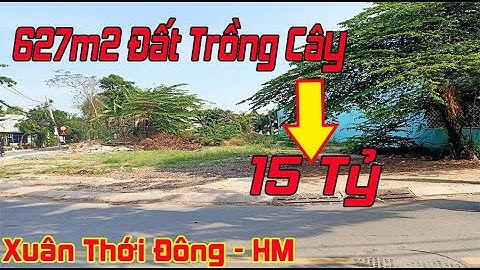 627m2 Đất Xuân Thới Đông Hóc Môn SHR 15 Tỷ | Đất Hóc Môn