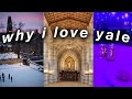 Everything i LOVE About Yale University || Freshman Perspective 2020