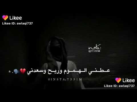 شيلة خل السهر