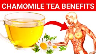 Chamomile Tea Benefits : 7 Health Benefits Of Drinking Chamomile Tea | Chamomile Tea 7 Healing Benefits Of Chamomile Tea Backed By Science