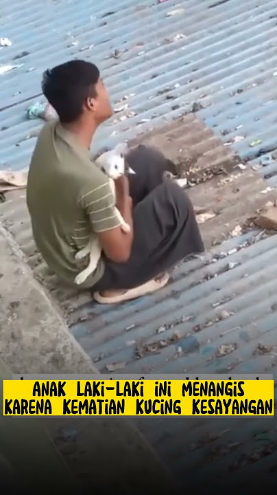MENANGIS KUCING KESAYANGAN TIBA TIBA MATI!